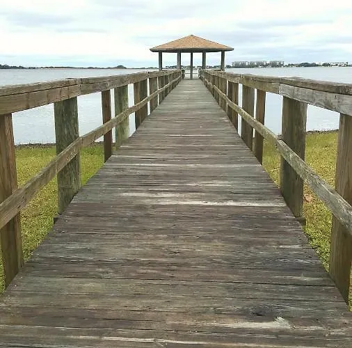 Eagle At Gulf State Park Gulf Shores